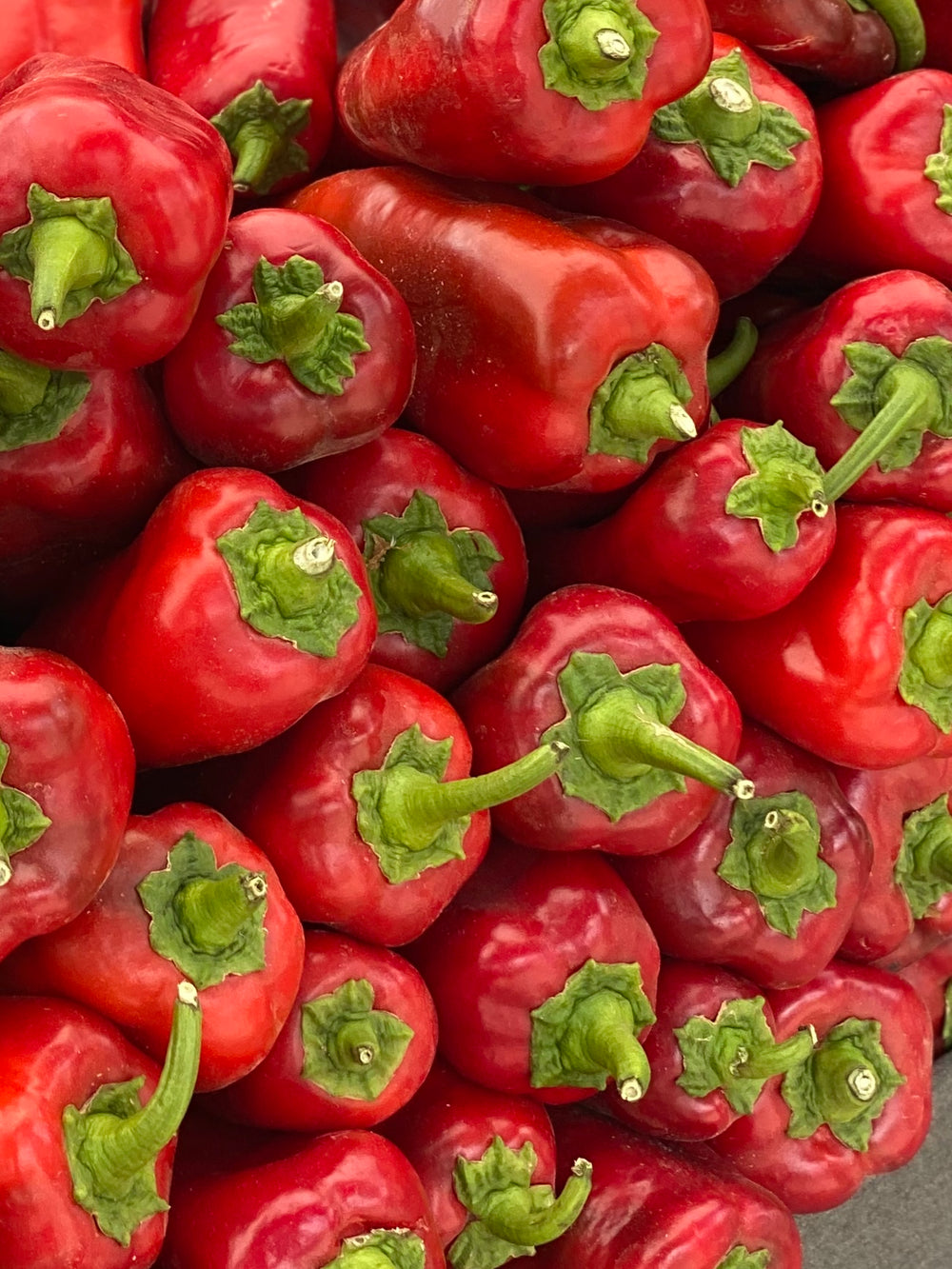 Italian Sweet Pepper Seeds - 