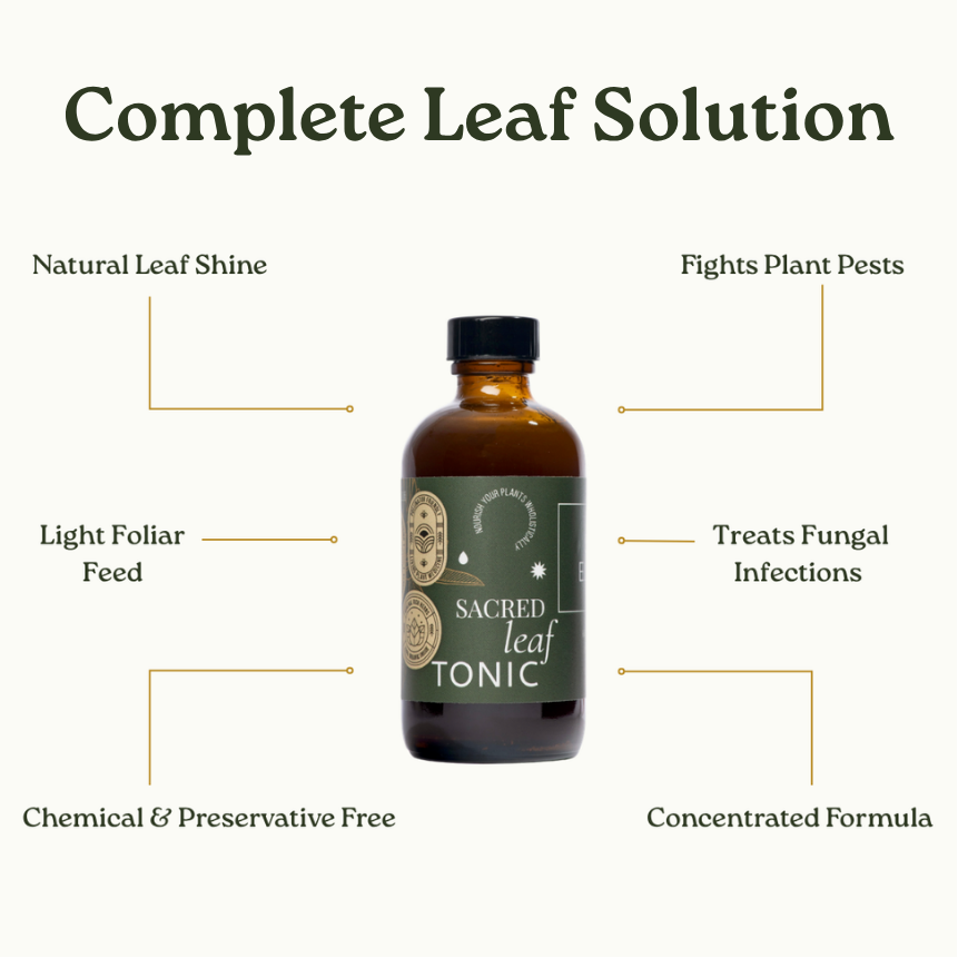 
                  
                    Sacred Leaf Tonic - Defensive Foliage Spray
                  
                