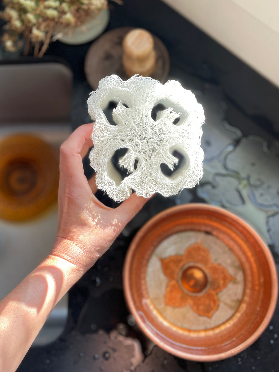 Raw Luffa (Loofah) Sponge