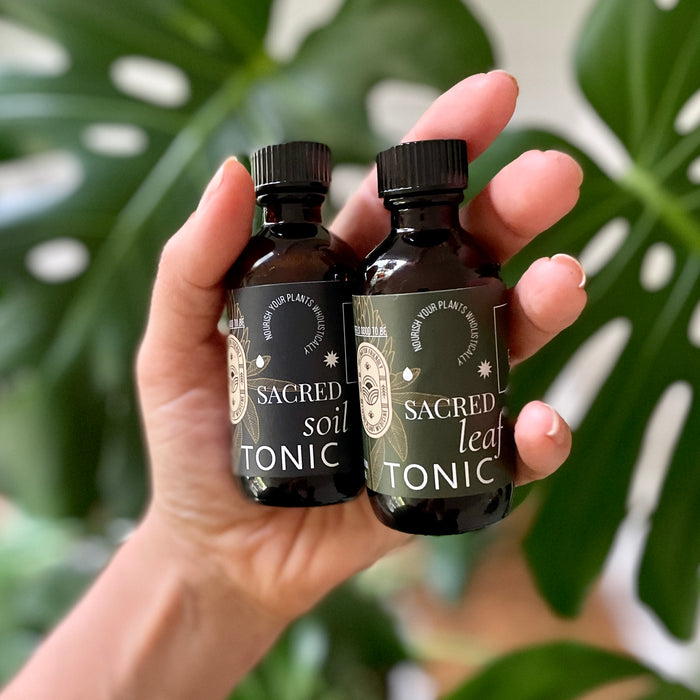 Sacred Plant Care Duo