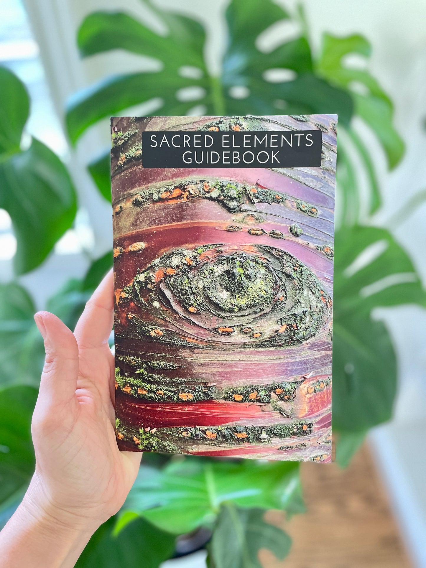 
                  
                    Sacred Elements Guidebook
                  
                