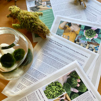 Plant School Volume 1, Marimo! Moss and Algae