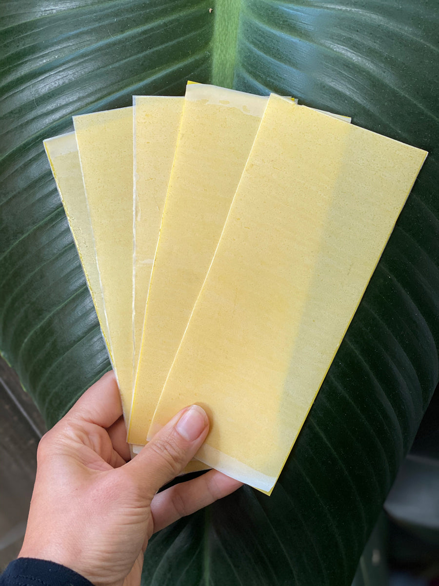Fly Paper – Sacred Elements