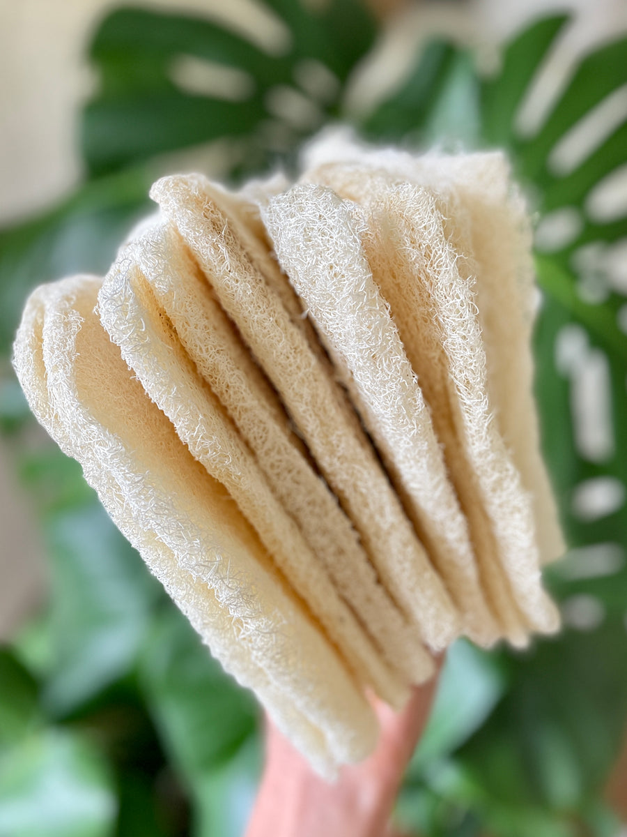 Raw Luffa (Loofah) Sponge - 3 sizes