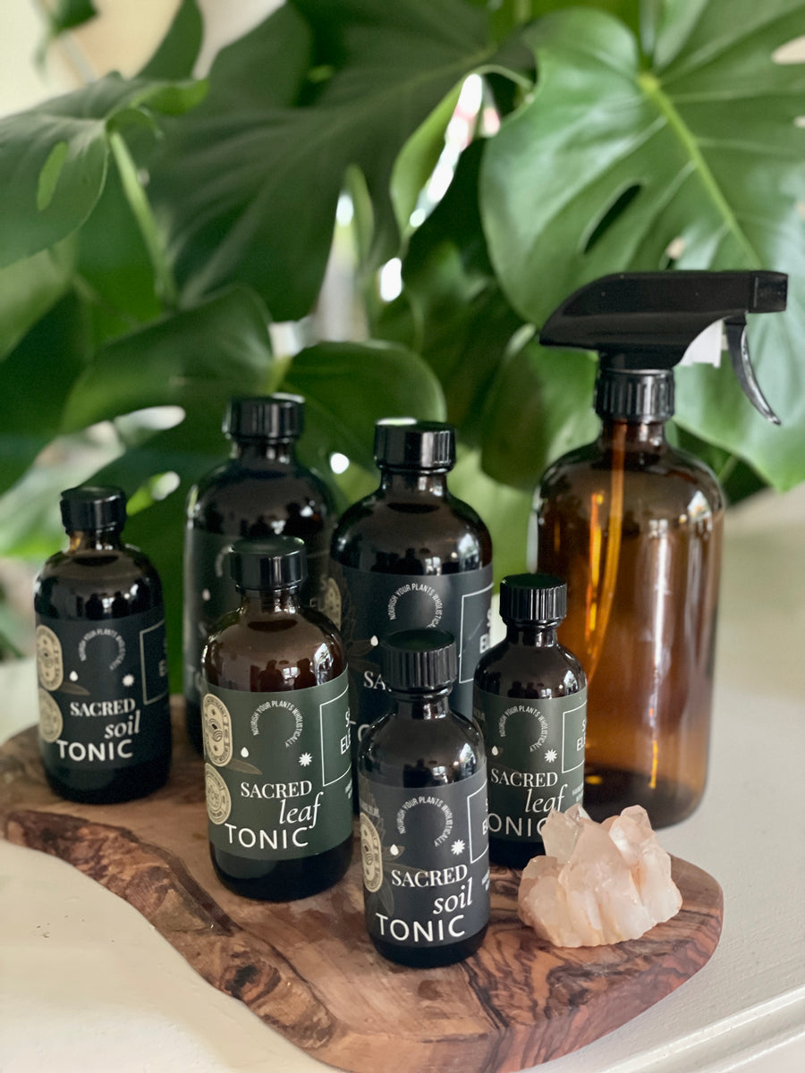 Plant Care Kit